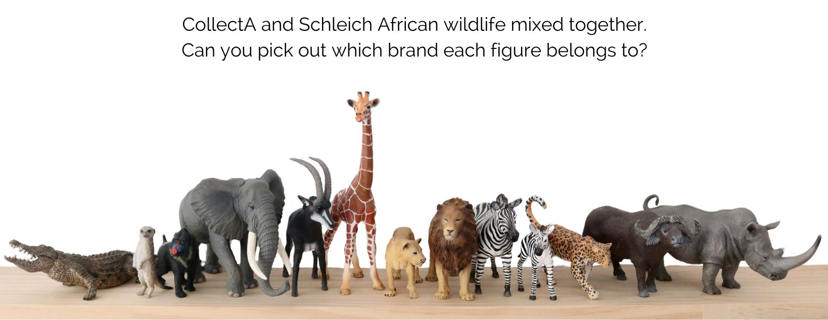 schleich-vs-collecta-group-of-wildlife.jpg