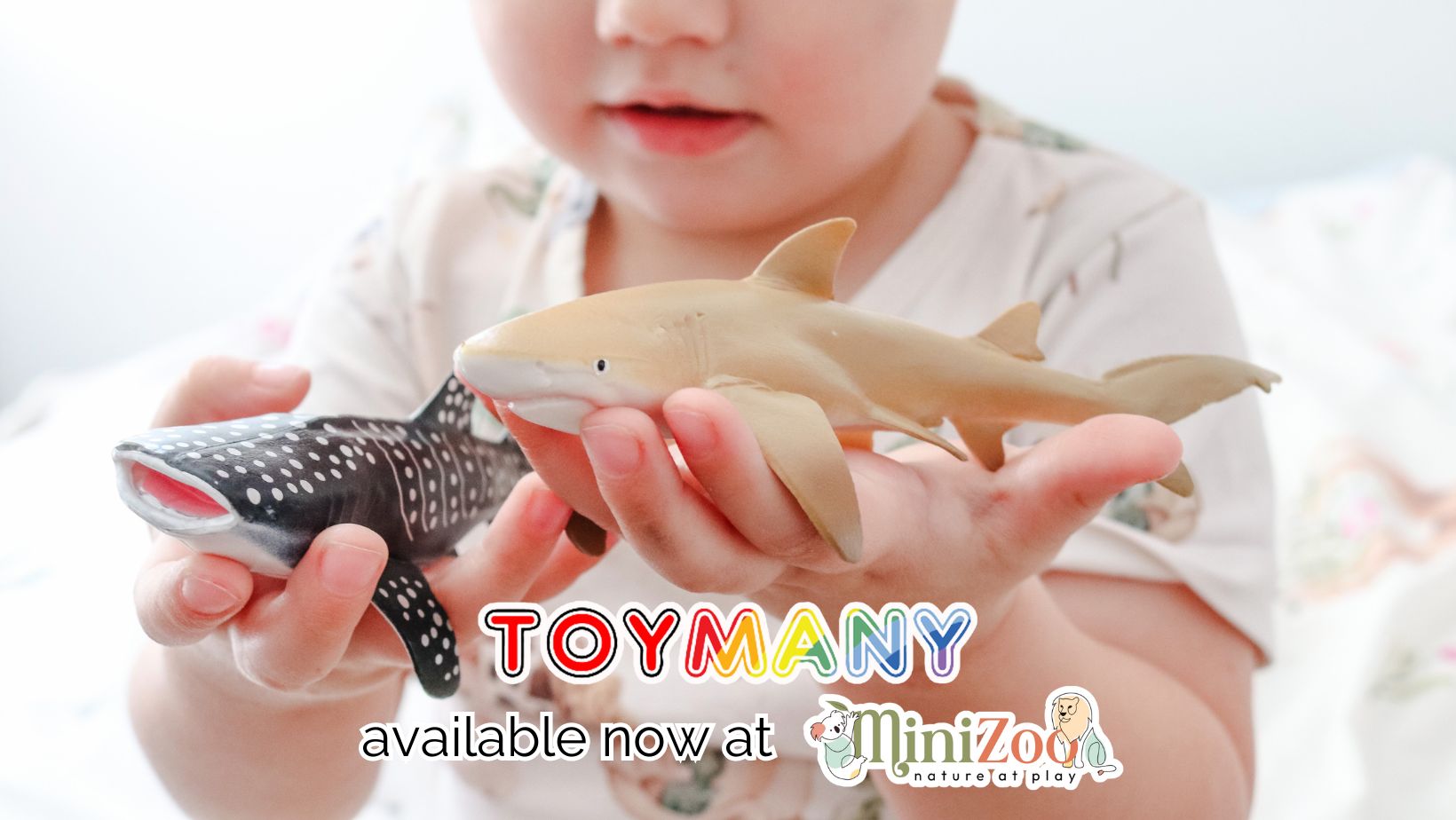 Toymany Available Now At MiniZoo